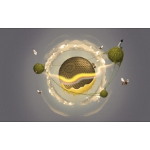 這個小學，有點開掛了！