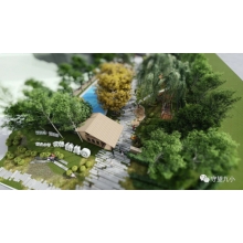 教育革新，信任成長！“安吉游戲”魅力何在？